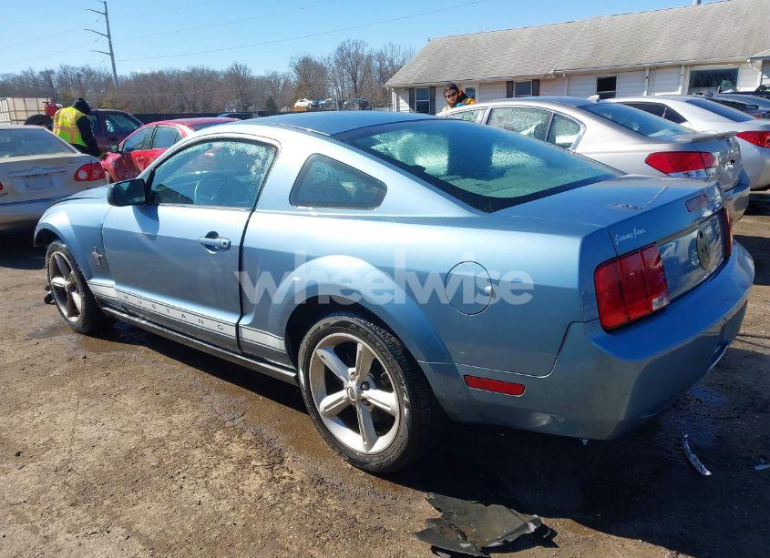 Photo 3 of 2006 Ford Mustang V6 (VIN 1ZVHT80N465199499)