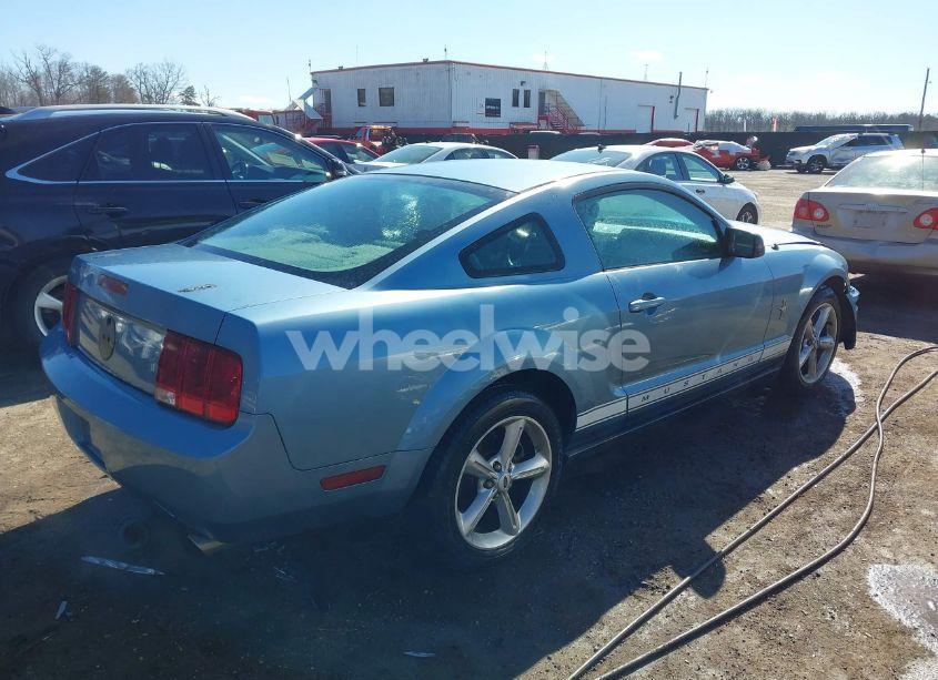 Photo 4 of 2006 Ford Mustang V6 (VIN 1ZVHT80N465199499)