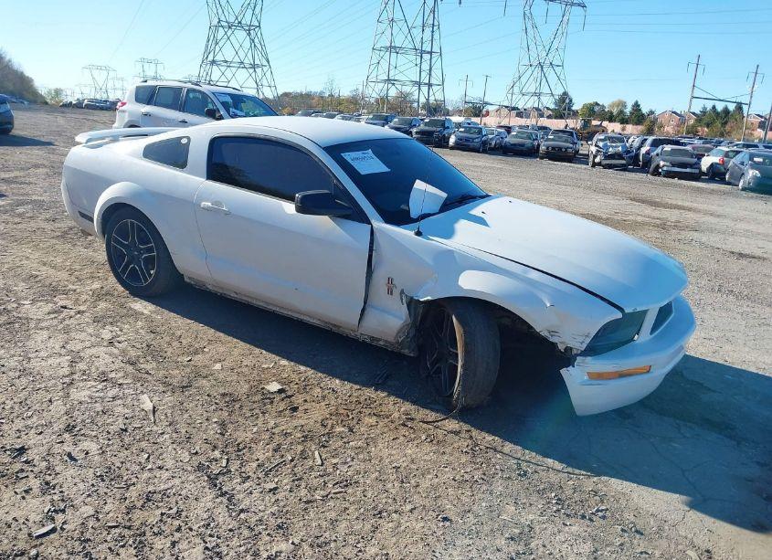 2006 Ford Mustang V6 (VIN 1ZVHT80N465245834) main photo