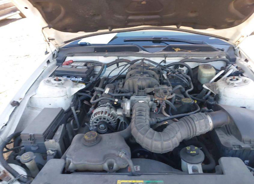 Photo 10 of 2006 Ford Mustang V6 (VIN 1ZVHT80N465245834)