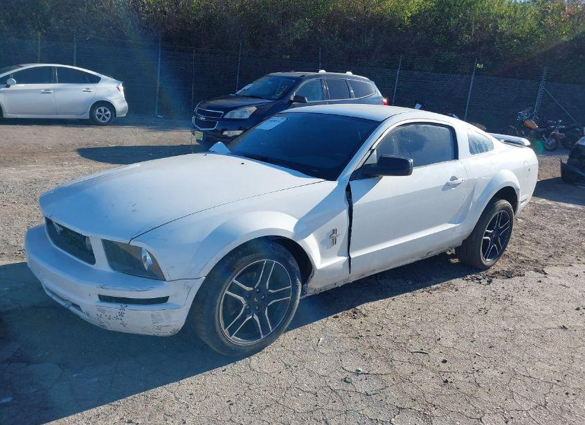 Photo 2 of 2006 Ford Mustang V6 (VIN 1ZVHT80N465245834)