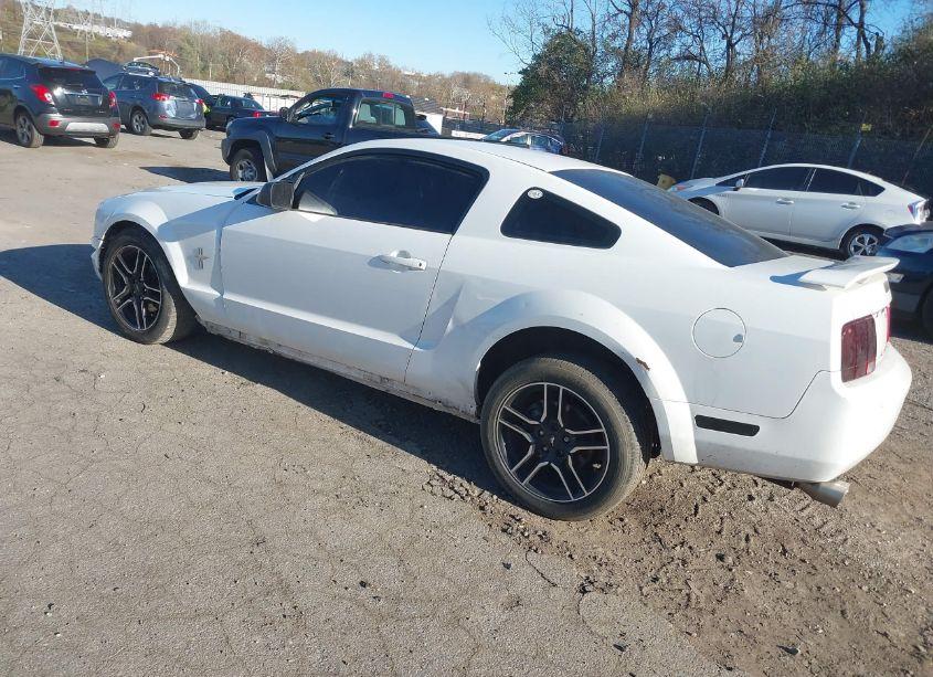 Photo 3 of 2006 Ford Mustang V6 (VIN 1ZVHT80N465245834)