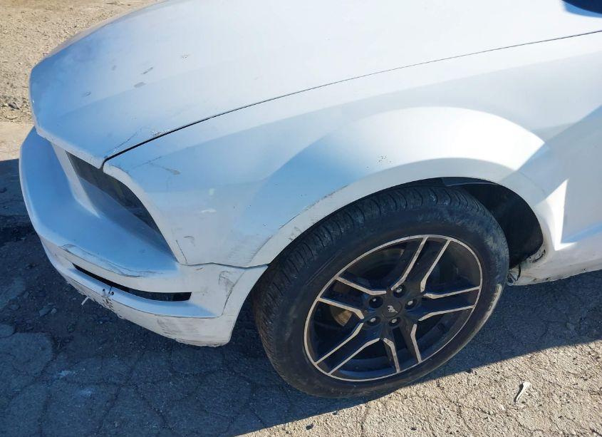 Photo 6 of 2006 Ford Mustang V6 (VIN 1ZVHT80N465245834)