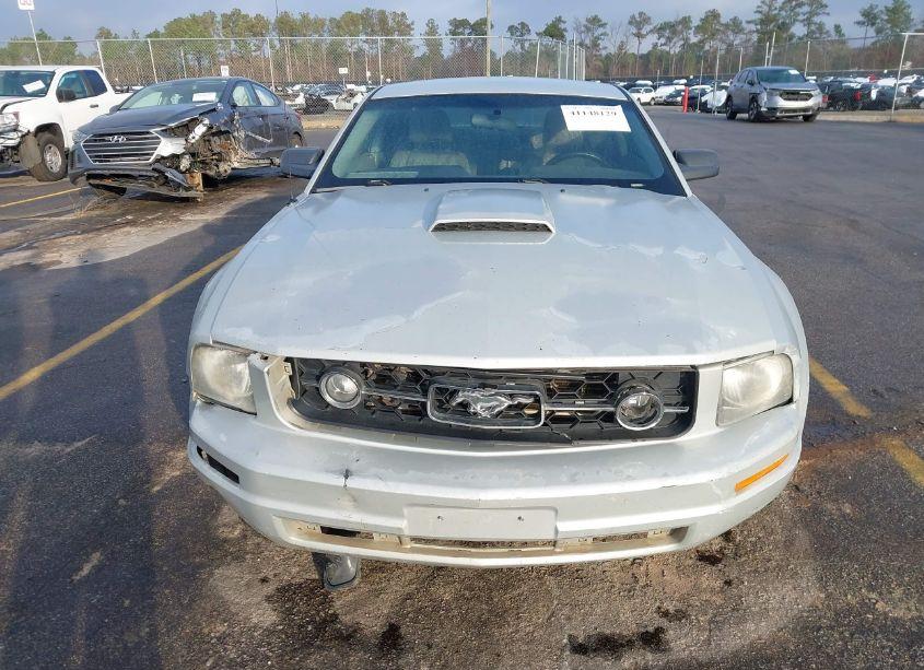 Photo 12 of 2007 Ford Mustang V6 DELUXE/V6 PREMIUM (VIN 1ZVHT80N475250615)