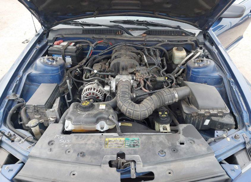 Photo 10 of 2007 Ford Mustang V6 DELUXE/V6 PREMIUM (VIN 1ZVHT80N475274672)