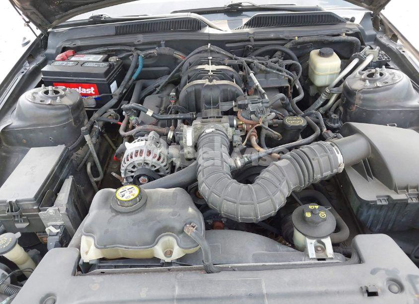 Photo 10 of 2008 Ford Mustang V6 DELUXE/V6 PREMIUM (VIN 1ZVHT80N485109173)