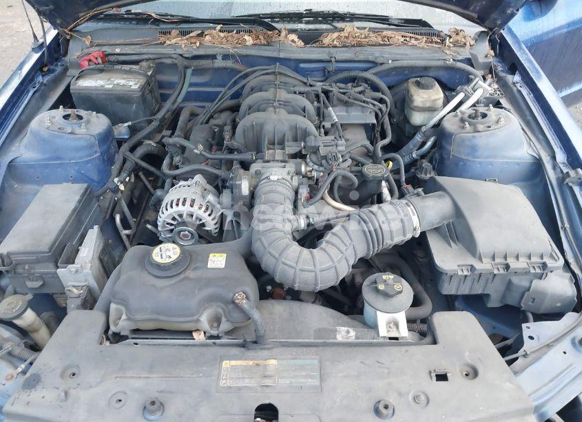 Photo 10 of 2008 Ford Mustang V6 DELUXE/V6 PREMIUM (VIN 1ZVHT80N485115071)