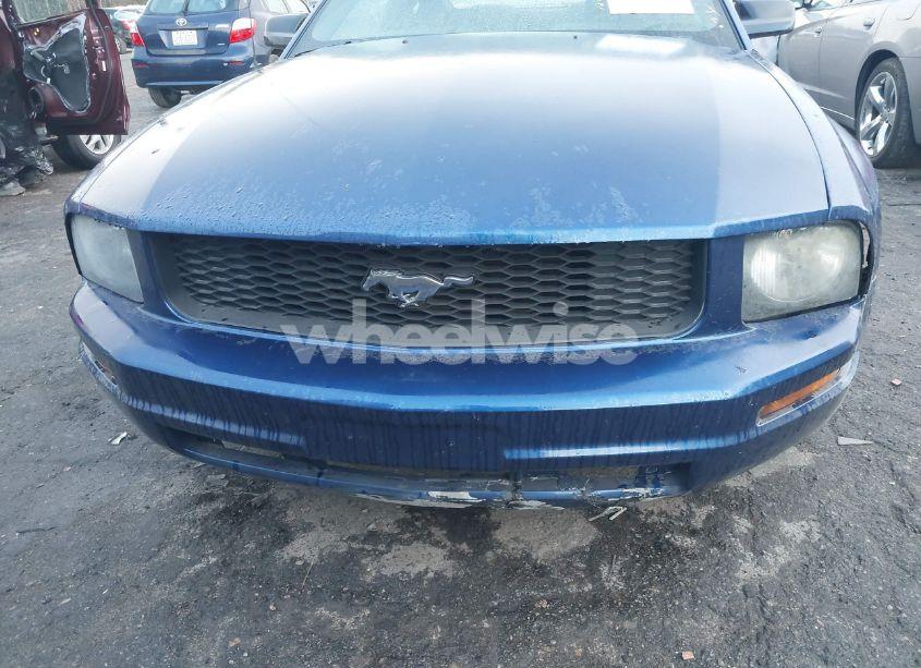 Photo 6 of 2008 Ford Mustang V6 DELUXE/V6 PREMIUM (VIN 1ZVHT80N485115071)