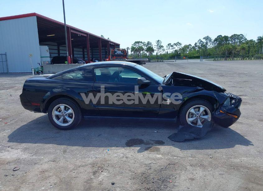 Photo 13 of 2008 Ford Mustang V6 DELUXE/V6 PREMIUM (VIN 1ZVHT80N485155747)