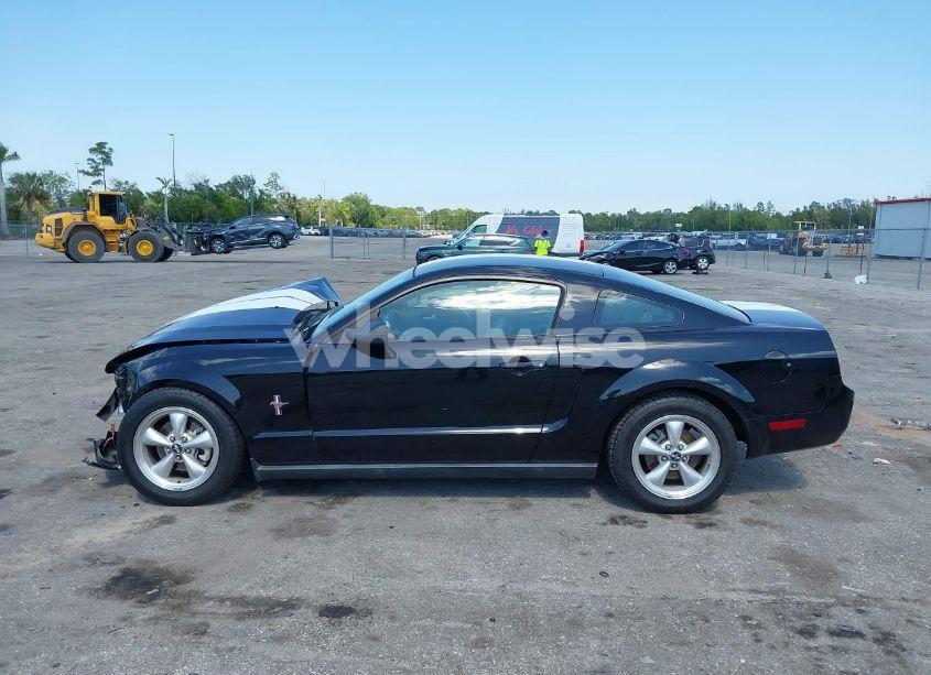 Photo 14 of 2008 Ford Mustang V6 DELUXE/V6 PREMIUM (VIN 1ZVHT80N485155747)