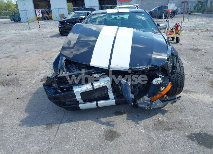 Photo 6 of 2008 Ford Mustang V6 DELUXE/V6 PREMIUM (VIN 1ZVHT80N485155747)