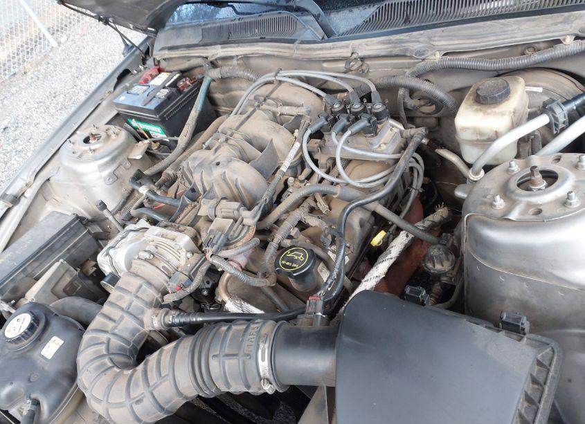 Photo 10 of 2008 Ford Mustang V6 DELUXE/V6 PREMIUM (VIN 1ZVHT80N485200895)