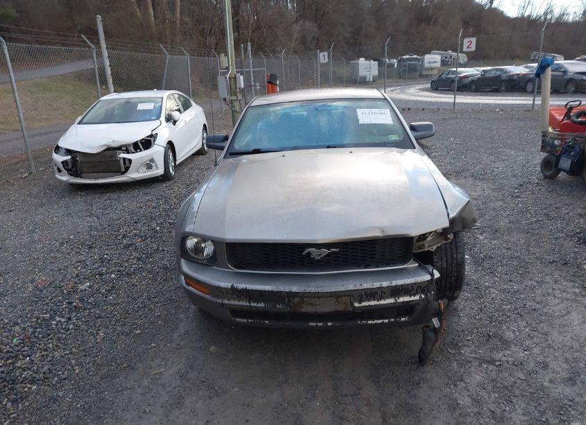Photo 12 of 2008 Ford Mustang V6 DELUXE/V6 PREMIUM (VIN 1ZVHT80N485200895)