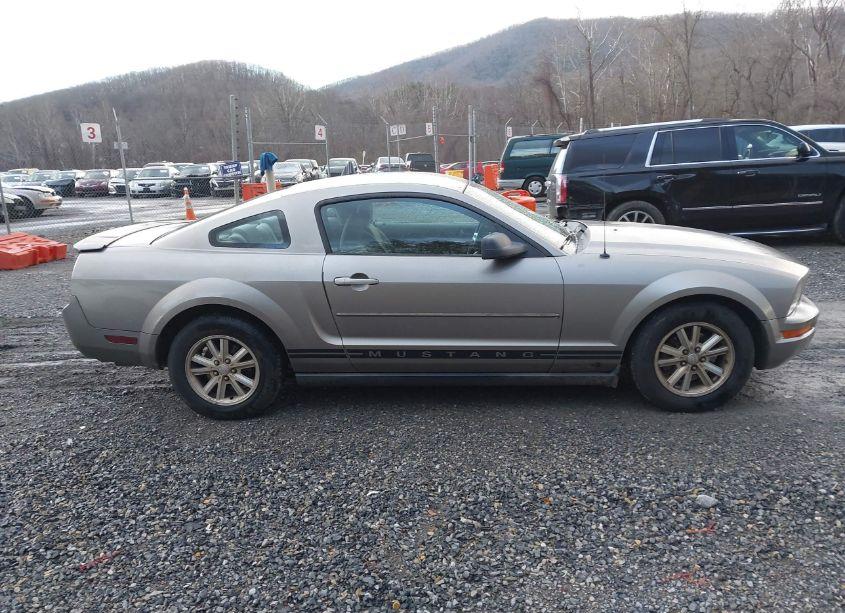 Photo 13 of 2008 Ford Mustang V6 DELUXE/V6 PREMIUM (VIN 1ZVHT80N485200895)