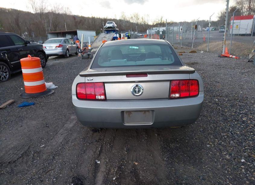 Photo 16 of 2008 Ford Mustang V6 DELUXE/V6 PREMIUM (VIN 1ZVHT80N485200895)