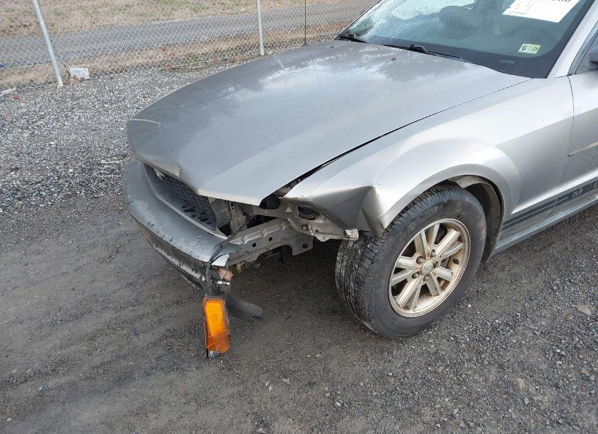 Photo 6 of 2008 Ford Mustang V6 DELUXE/V6 PREMIUM (VIN 1ZVHT80N485200895)