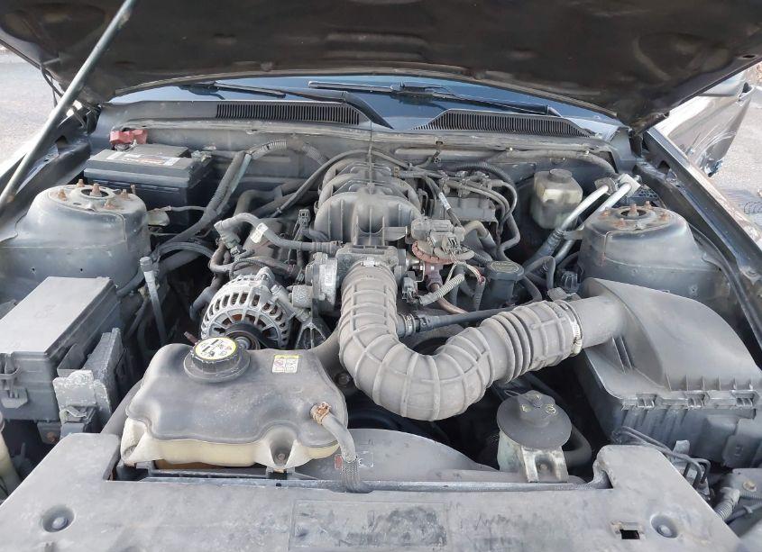 Photo 10 of 2007 Ford Mustang V6 DELUXE/V6 PREMIUM (VIN 1ZVHT80N575221964)