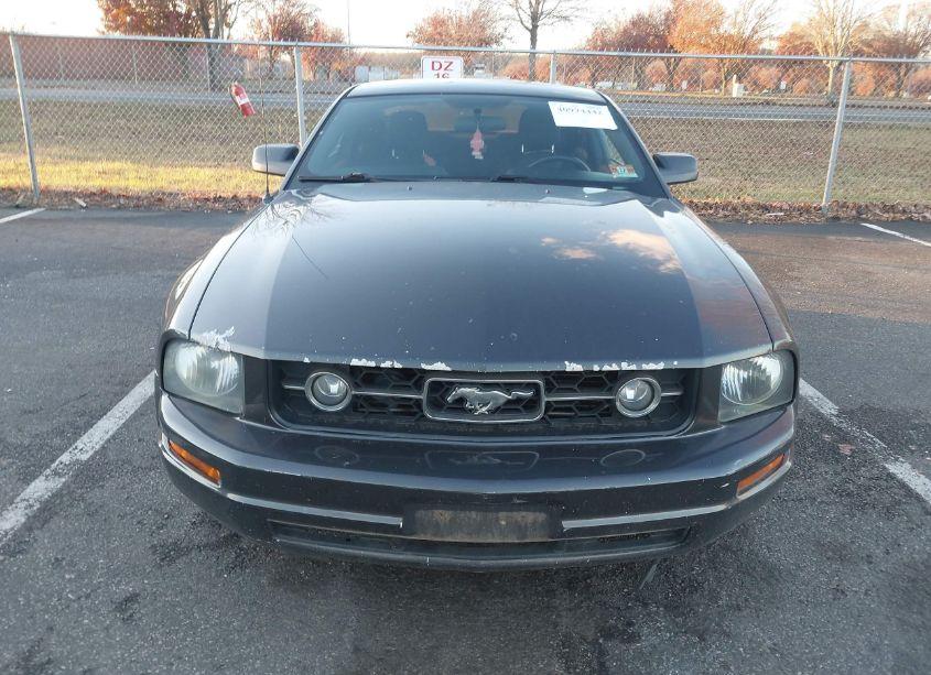 Photo 12 of 2007 Ford Mustang V6 DELUXE/V6 PREMIUM (VIN 1ZVHT80N575221964)