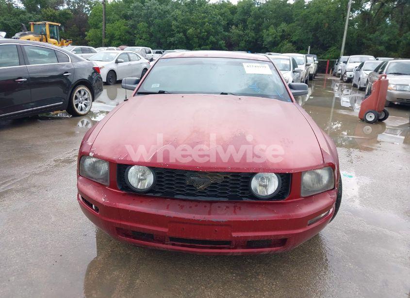 Photo 6 of 2007 Ford Mustang V6 DELUXE/V6 PREMIUM (VIN 1ZVHT80N575279802)