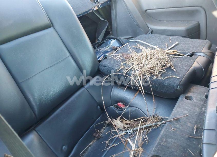 Photo 8 of 2007 Ford Mustang V6 DELUXE/V6 PREMIUM (VIN 1ZVHT80N575361934)