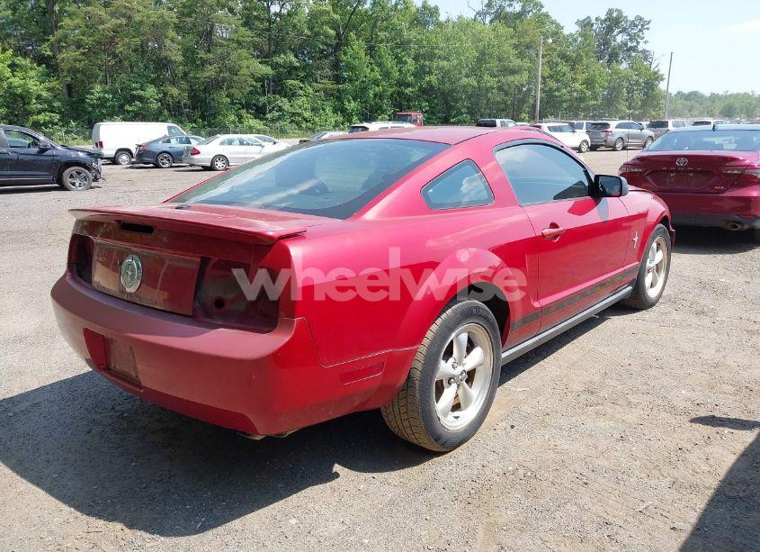 Photo 4 of 2008 Ford Mustang V6 DELUXE/V6 PREMIUM (VIN 1ZVHT80N585136267)