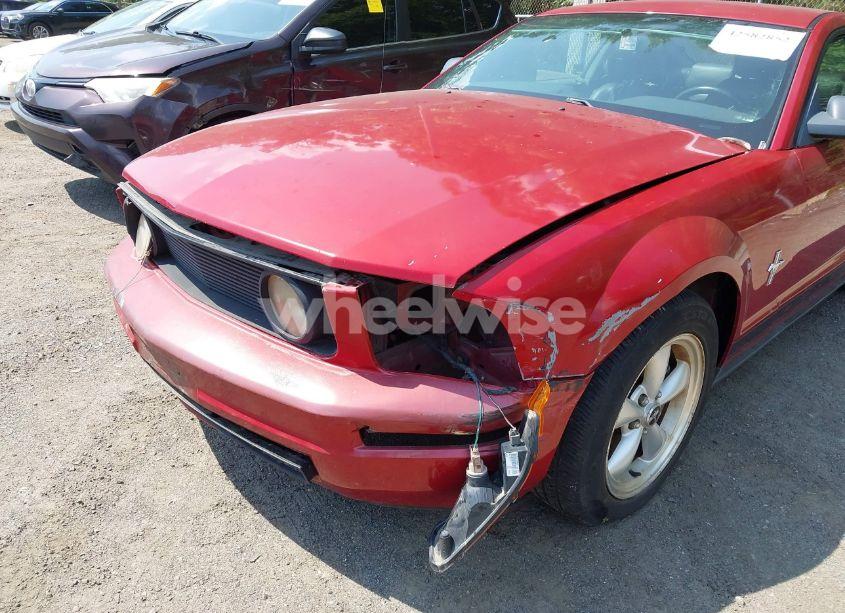 Photo 6 of 2008 Ford Mustang V6 DELUXE/V6 PREMIUM (VIN 1ZVHT80N585136267)