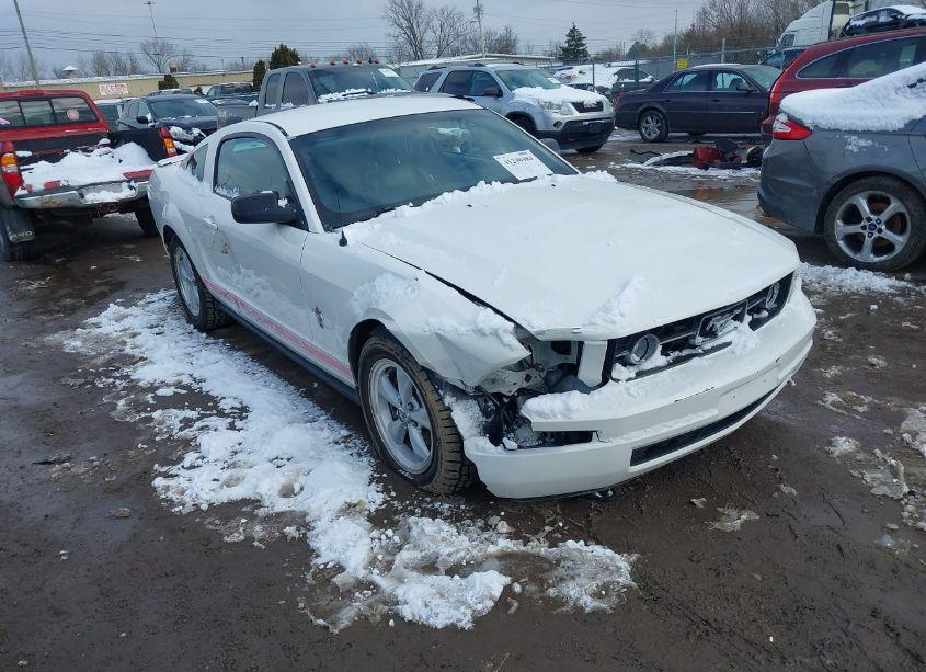 2008 Ford Mustang V6 DELUXE/V6 PREMIUM (VIN 1ZVHT80N585144739) main photo