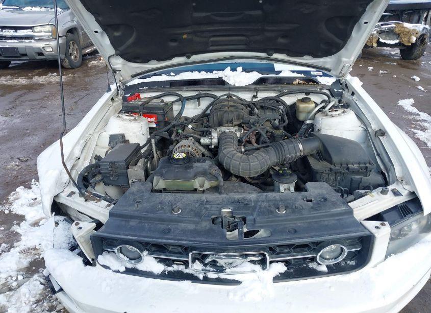 Photo 10 of 2008 Ford Mustang V6 DELUXE/V6 PREMIUM (VIN 1ZVHT80N585144739)