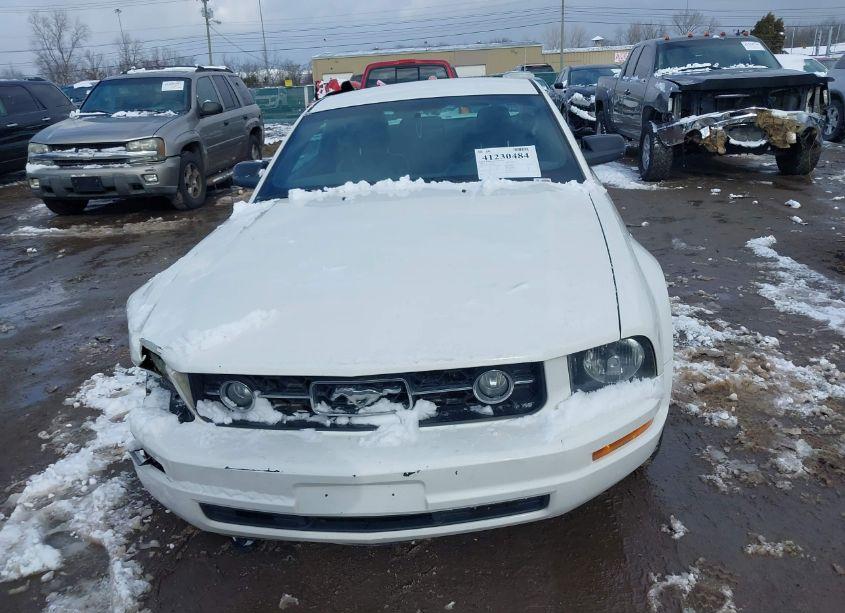 Photo 12 of 2008 Ford Mustang V6 DELUXE/V6 PREMIUM (VIN 1ZVHT80N585144739)