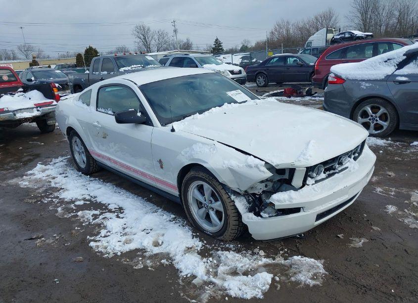 Photo 13 of 2008 Ford Mustang V6 DELUXE/V6 PREMIUM (VIN 1ZVHT80N585144739)