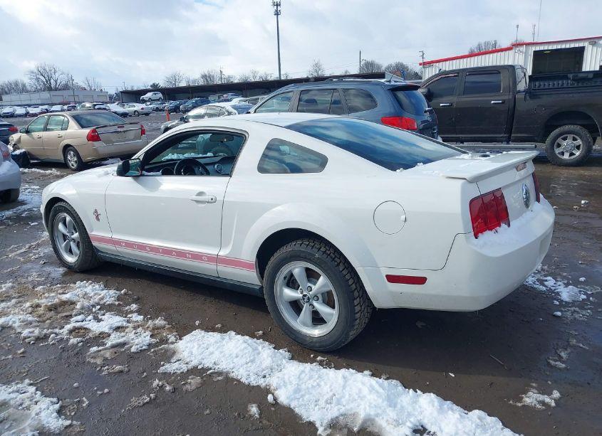 Photo 14 of 2008 Ford Mustang V6 DELUXE/V6 PREMIUM (VIN 1ZVHT80N585144739)