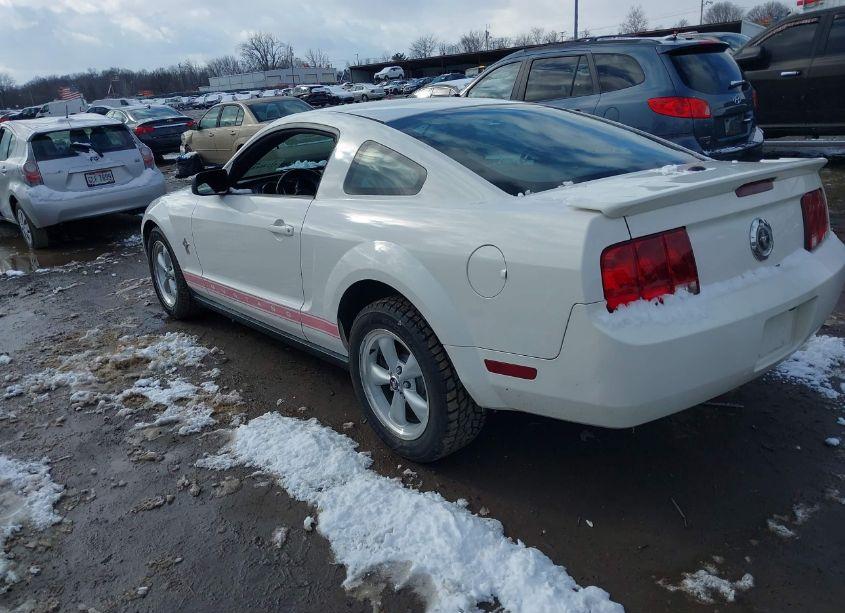 Photo 3 of 2008 Ford Mustang V6 DELUXE/V6 PREMIUM (VIN 1ZVHT80N585144739)