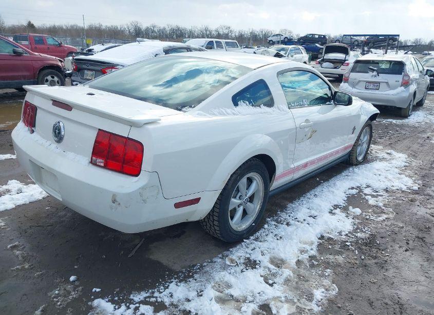 Photo 4 of 2008 Ford Mustang V6 DELUXE/V6 PREMIUM (VIN 1ZVHT80N585144739)