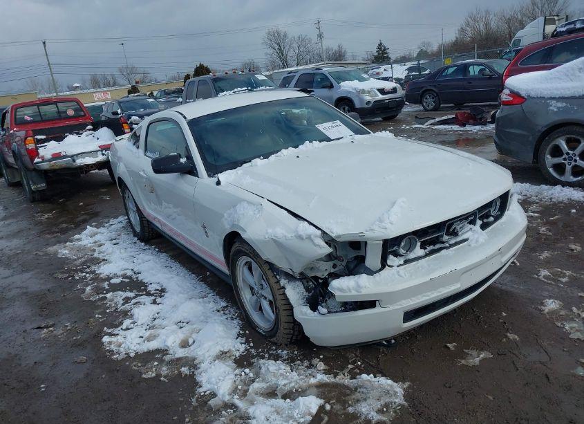 Photo 6 of 2008 Ford Mustang V6 DELUXE/V6 PREMIUM (VIN 1ZVHT80N585144739)