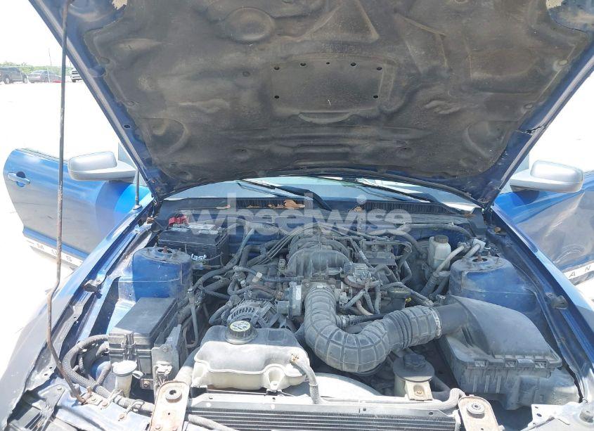 Photo 10 of 2009 Ford Mustang V6/V6 PREMIUM (VIN 1ZVHT80N595126582)