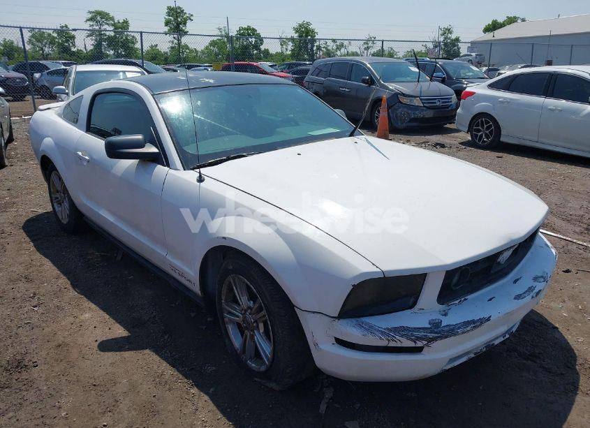 2009 Ford Mustang V6/V6 PREMIUM (VIN 1ZVHT80N595141924) main photo