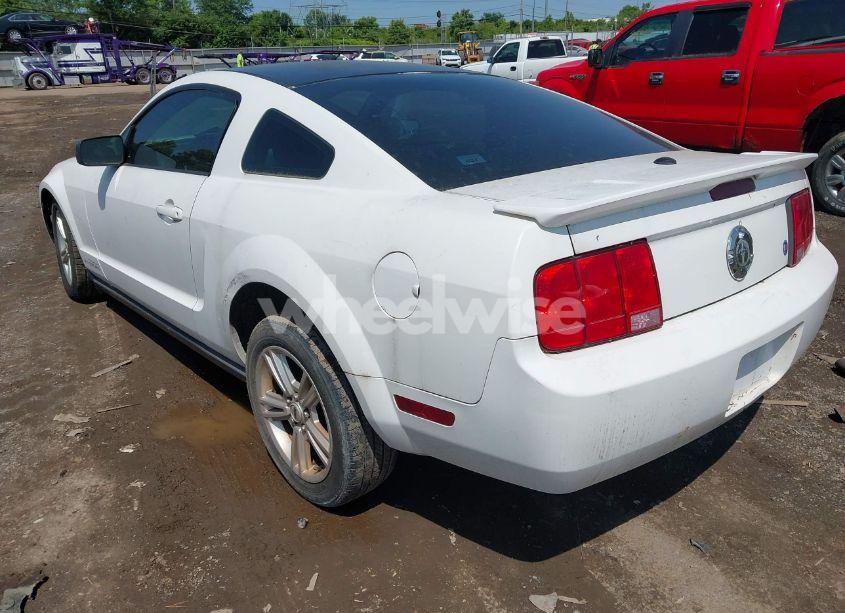 Photo 3 of 2009 Ford Mustang V6/V6 PREMIUM (VIN 1ZVHT80N595141924)