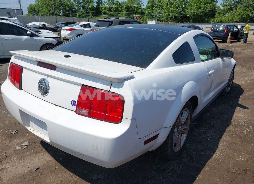 Photo 4 of 2009 Ford Mustang V6/V6 PREMIUM (VIN 1ZVHT80N595141924)