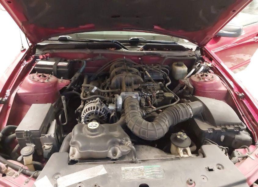 Photo 10 of 2006 Ford Mustang V6 (VIN 1ZVHT80N665157755)