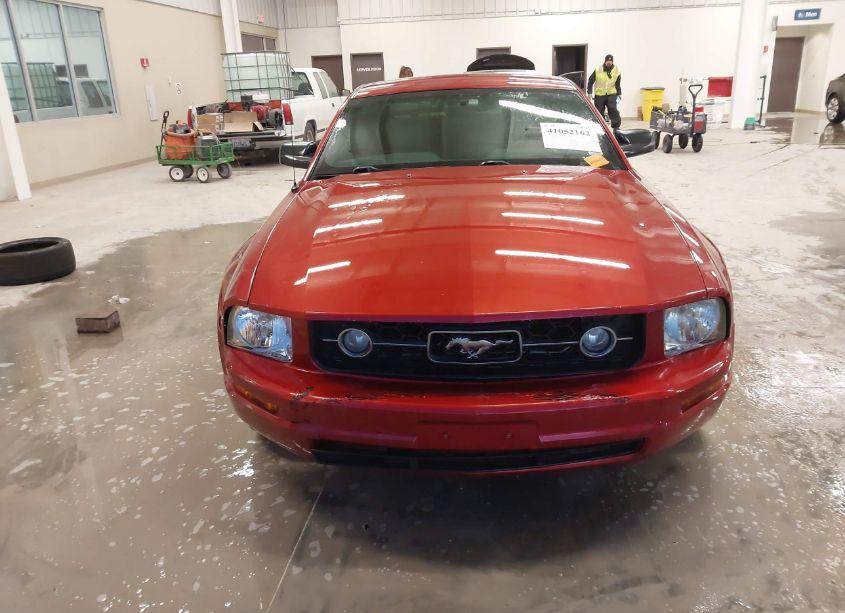 Photo 13 of 2006 Ford Mustang V6 (VIN 1ZVHT80N665157755)
