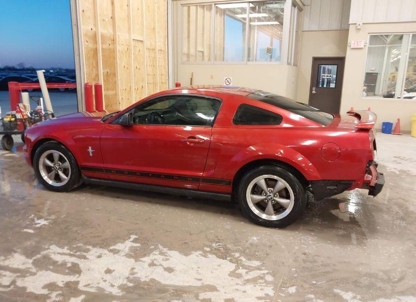 Photo 15 of 2006 Ford Mustang V6 (VIN 1ZVHT80N665157755)
