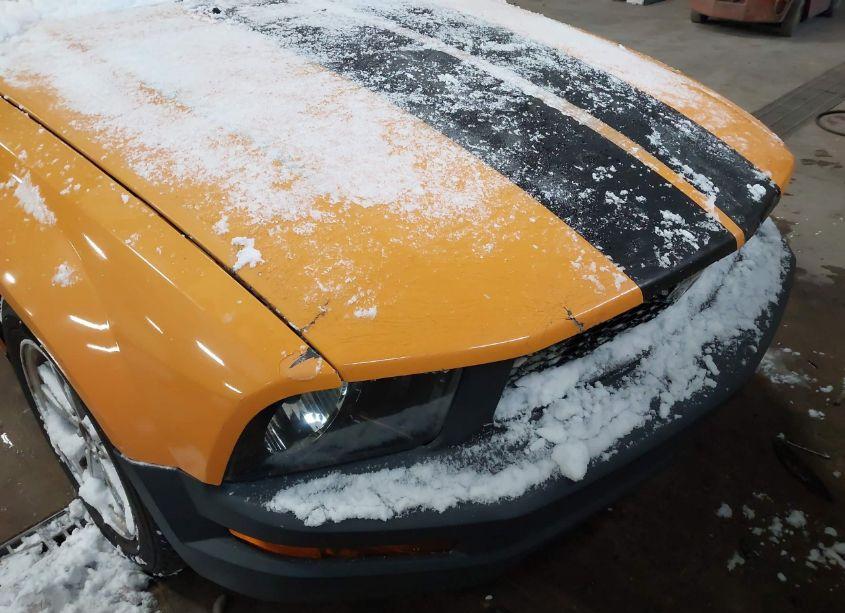 Photo 6 of 2007 Ford Mustang V6 DELUXE/V6 PREMIUM (VIN 1ZVHT80N675252690)