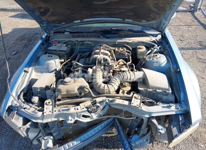 Photo 10 of 2008 Ford Mustang V6 DELUXE/V6 PREMIUM (VIN 1ZVHT80N685107327)