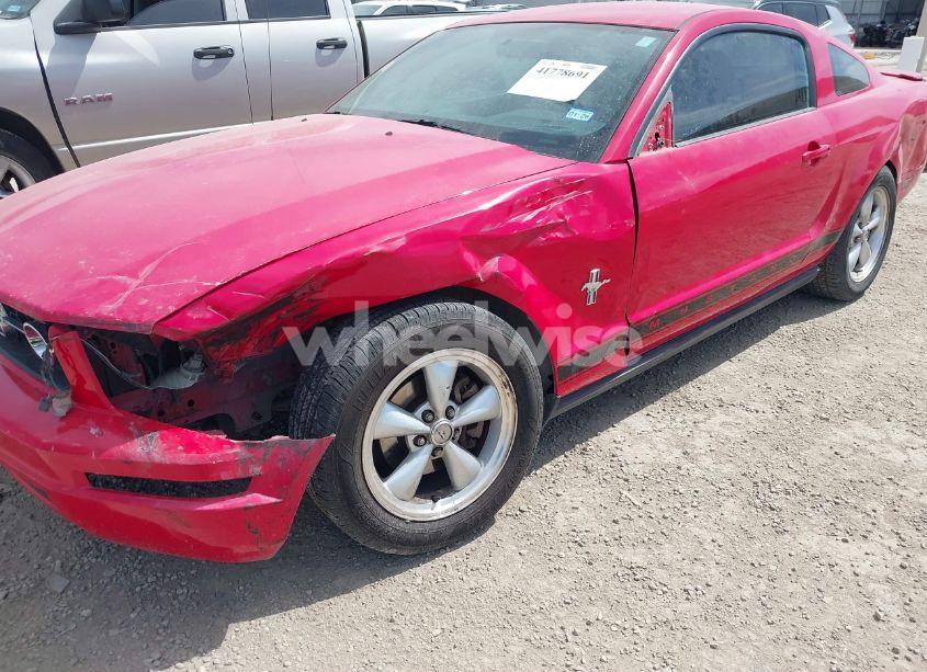 Photo 6 of 2008 Ford Mustang V6 PREMIUM (VIN 1ZVHT80N685116559)