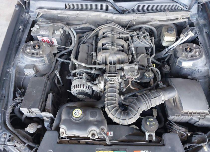 Photo 10 of 2008 Ford Mustang V6 DELUXE/V6 PREMIUM (VIN 1ZVHT80N685142160)