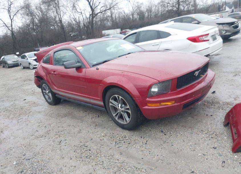 2008 Ford Mustang V6 DELUXE/V6 PREMIUM (VIN 1ZVHT80N685150081) main photo