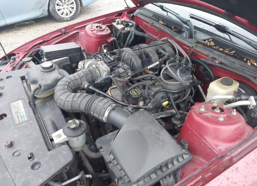 Photo 10 of 2008 Ford Mustang V6 DELUXE/V6 PREMIUM (VIN 1ZVHT80N685150081)