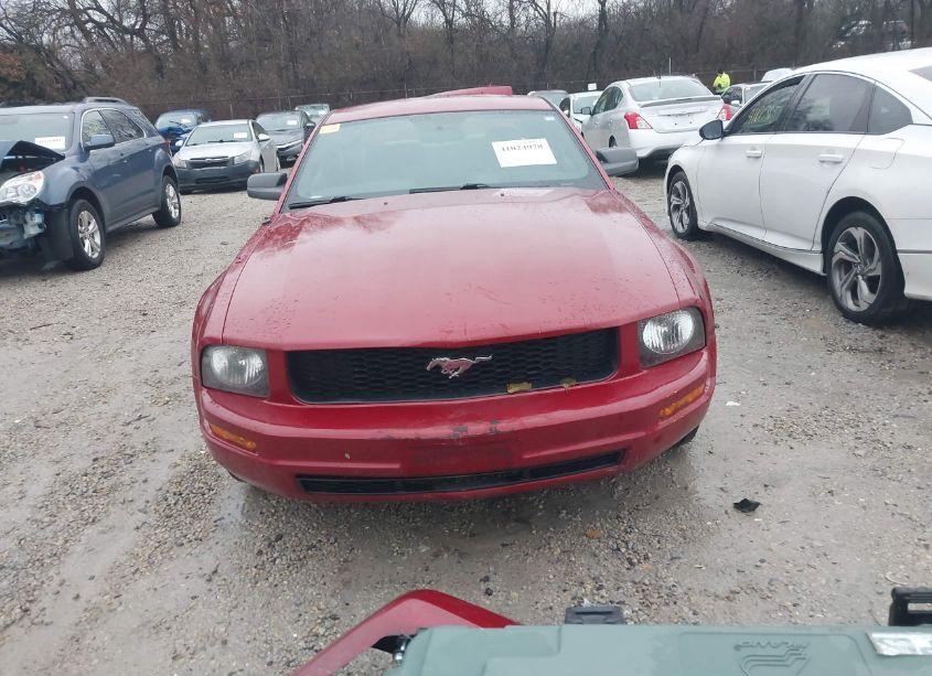 Photo 13 of 2008 Ford Mustang V6 DELUXE/V6 PREMIUM (VIN 1ZVHT80N685150081)