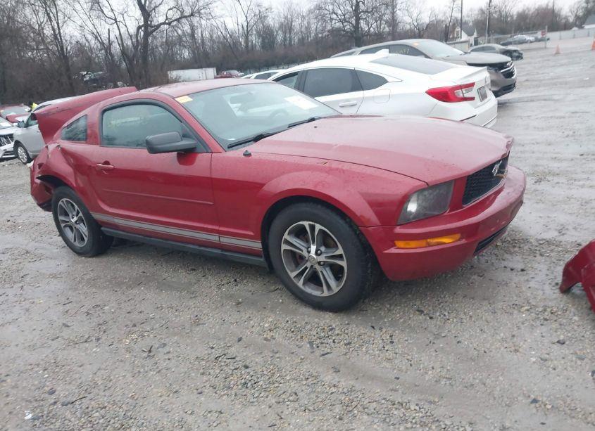 Photo 14 of 2008 Ford Mustang V6 DELUXE/V6 PREMIUM (VIN 1ZVHT80N685150081)