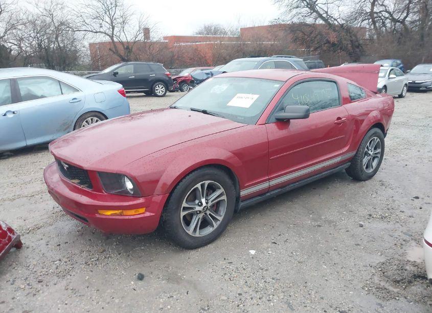 Photo 15 of 2008 Ford Mustang V6 DELUXE/V6 PREMIUM (VIN 1ZVHT80N685150081)